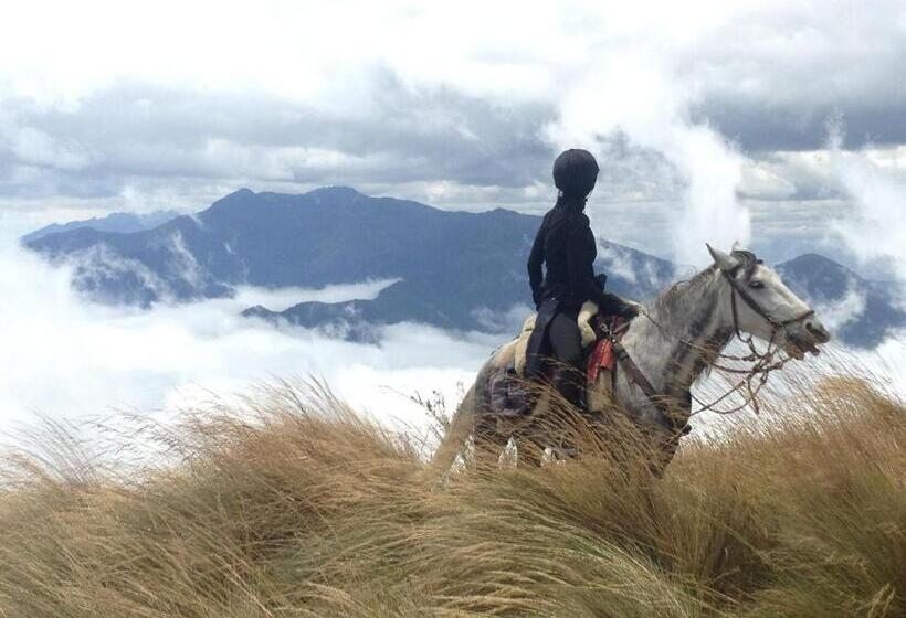 酒店 Hacienda La Alegria
