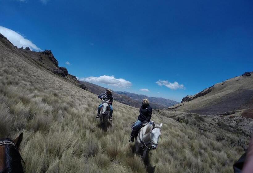 酒店 Hacienda La Alegria