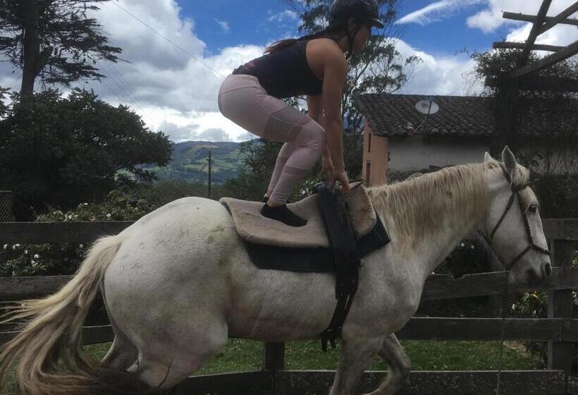 酒店 Hacienda La Alegria