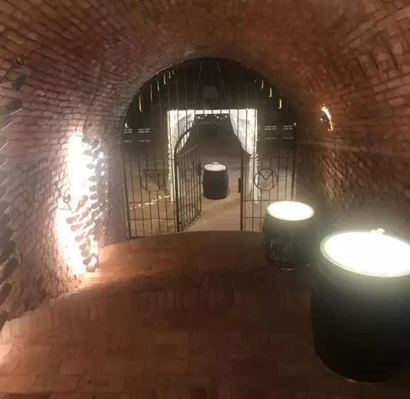 ペンション Vinný Tunel