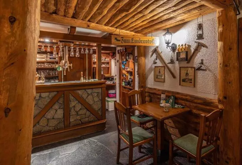 Pension Und Gaststätte Zur Knappenschänke