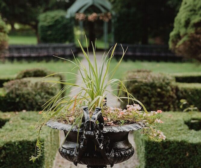 הוסטל John Joseph Inn