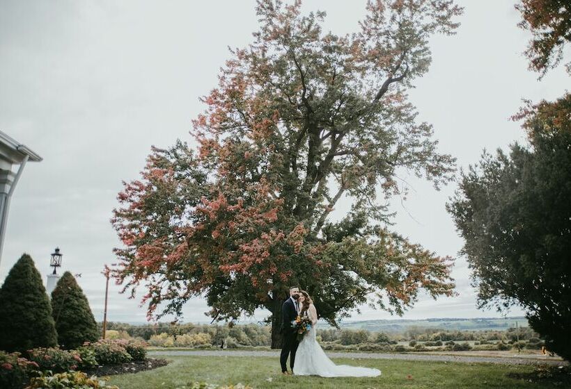 הוסטל John Joseph Inn