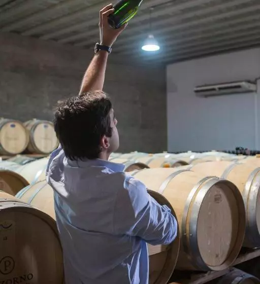 ユースホステル Pizzorno Lodge & Wine