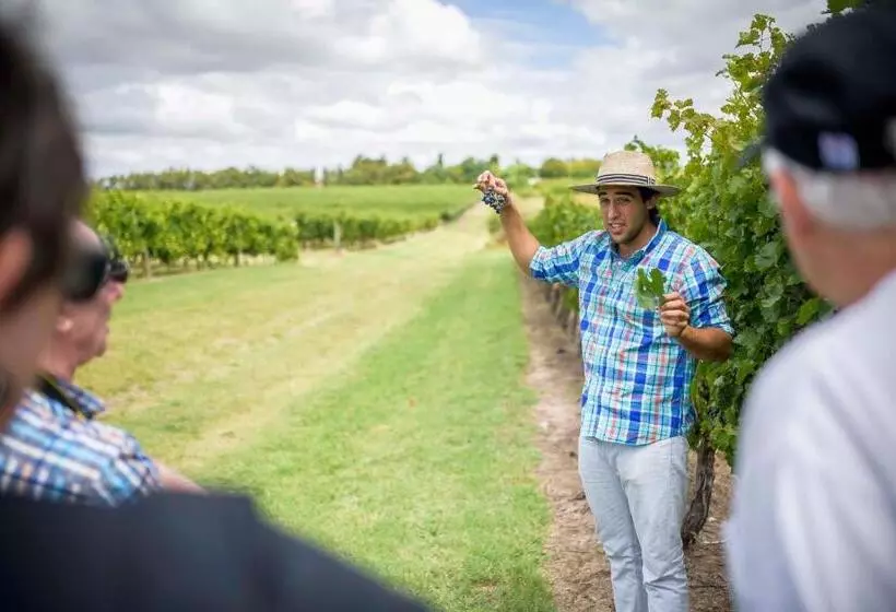 ユースホステル Pizzorno Lodge & Wine