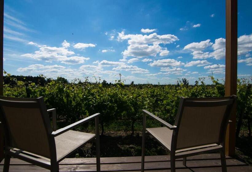 Hostel Pizzorno Lodge & Wine