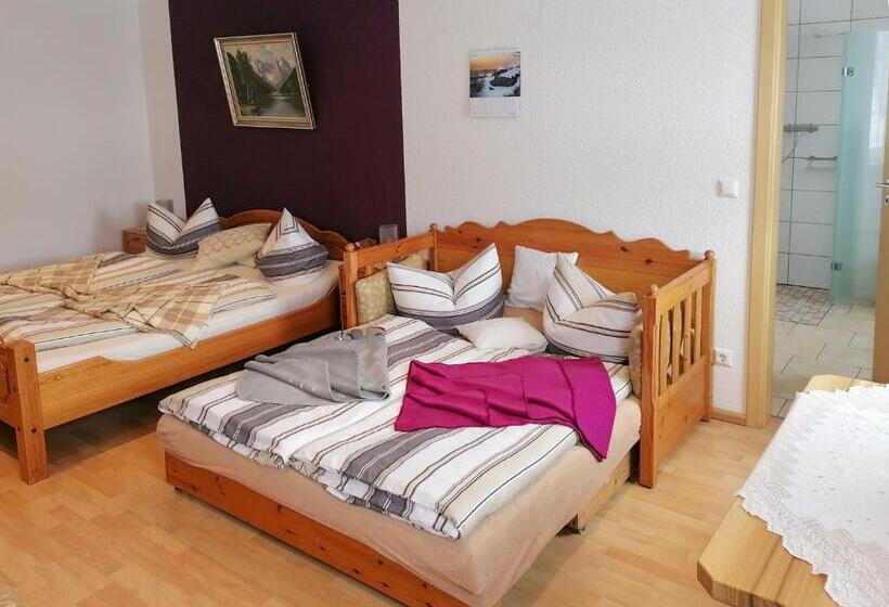 Пансион Bergheisl Rübenau