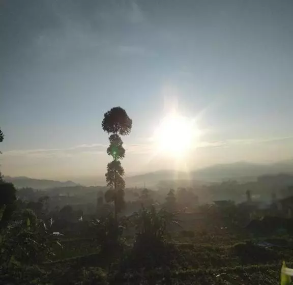 Majatalo Penginapan Atau Kontrakan Rumah Ciwidey 1 Ruangan 2 Kasur Dewasa Kamar Mandi Dapur Dalam Sewa Harian