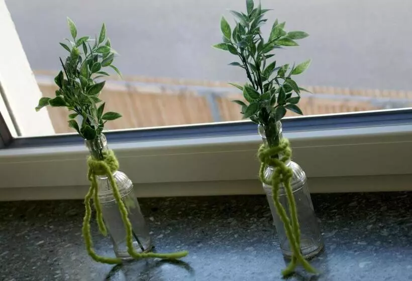 Romagna Mia   Hotel Ristorante Pizzeria