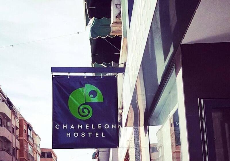 Chameleon Youth Hostel Alicante