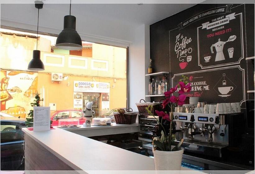 Chameleon Youth Hostel Alicante