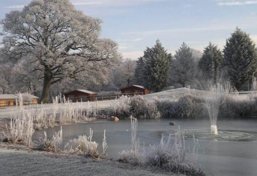 فندق Fingle Glen