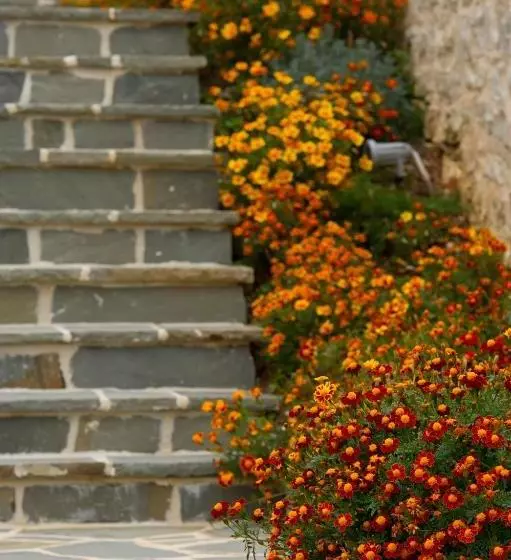 Отель Mir Boutique