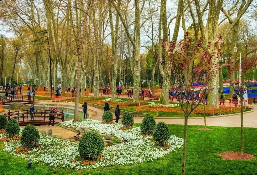 Vizyon Hotel   Old City