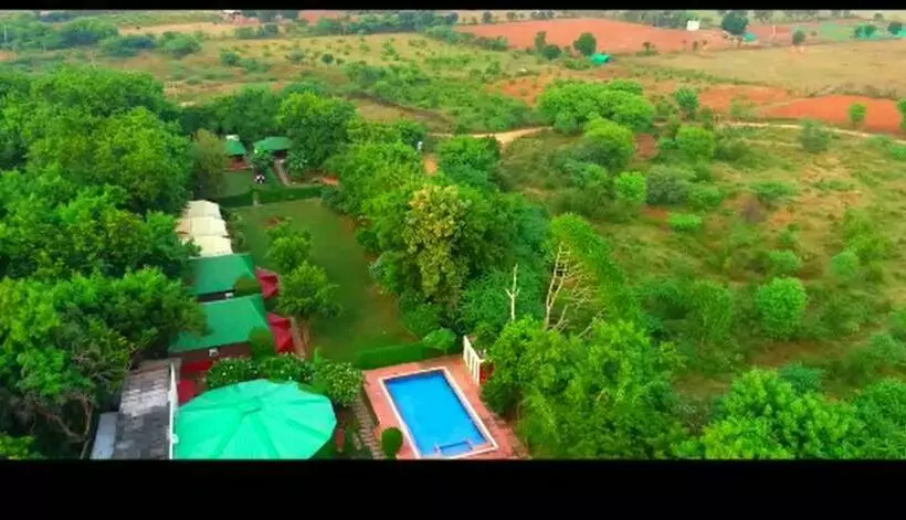 Jungle View Resort Ranthambhore