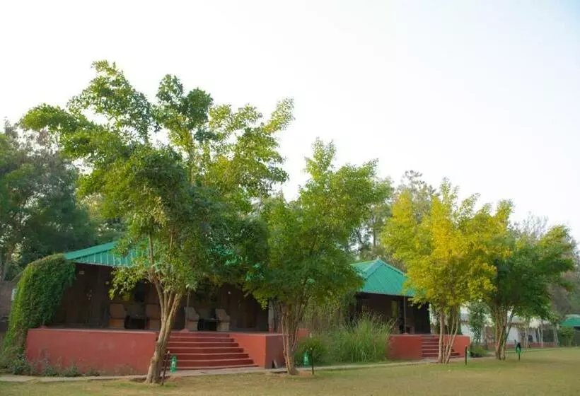 Jungle View Resort Ranthambhore