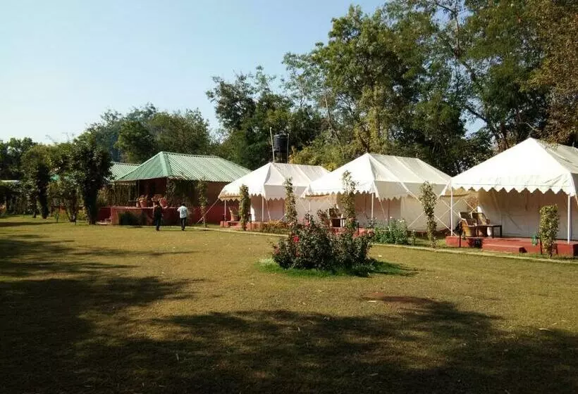 Jungle View Resort Ranthambhore