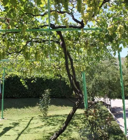 پانسیون Pansion Pero Elez Medjugorje