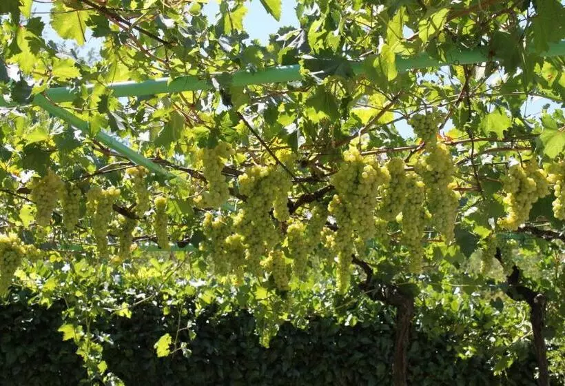 پانسیون Pansion Pero Elez Medjugorje