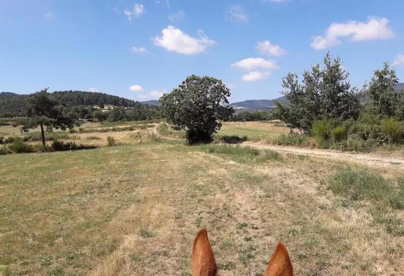 Aamiaismajoitus (B&B) Ferme De La Combe