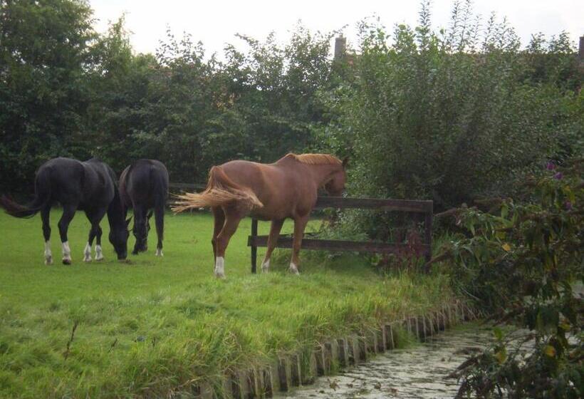 住宿加早餐 Bed En Breakfast Dirosa