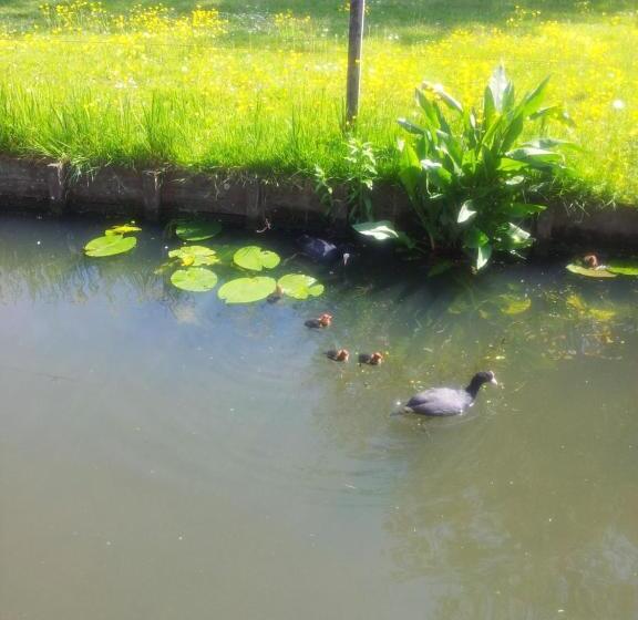 住宿加早餐 Bed En Breakfast Dirosa