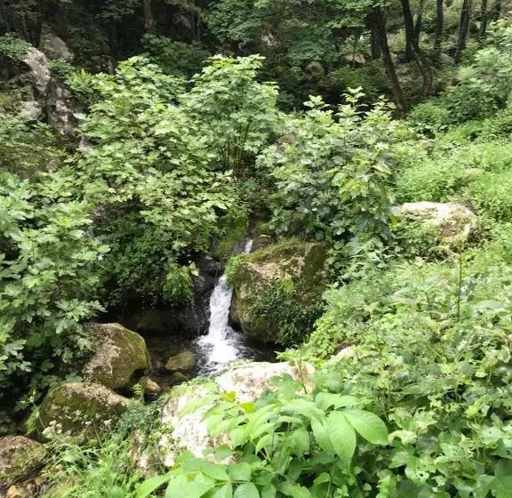 B&b La Libellula