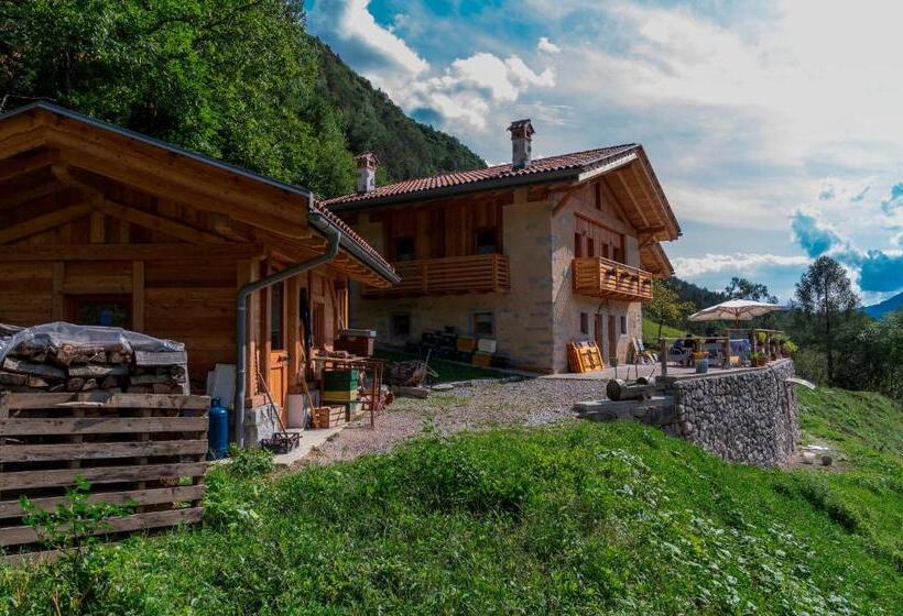 住宿加早餐 Agriturismo La Meta