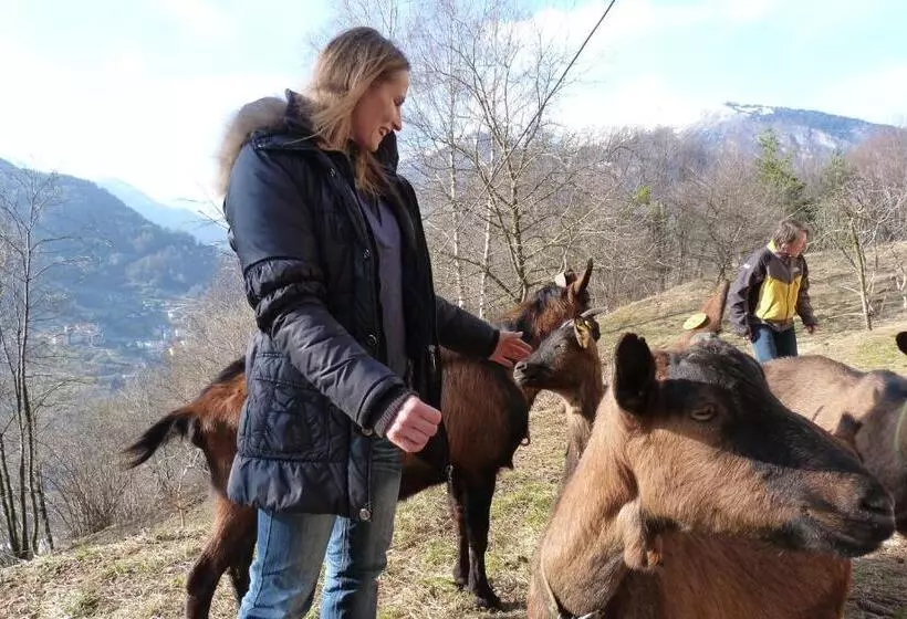 Aamiaismajoitus (B&B) Agriturismo La Meta