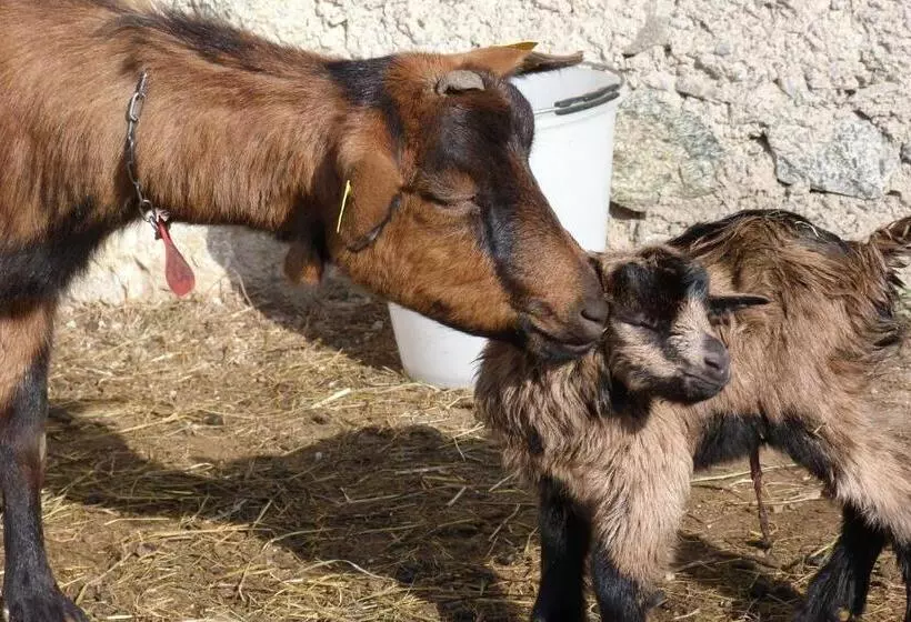 Aamiaismajoitus (B&B) Agriturismo La Meta