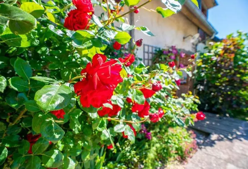 ベッドアンドブレックファースト Chambre D Hôtes   Le Jardin Des Patissons