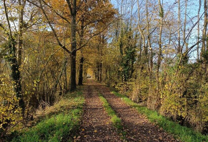 Aamiaismajoitus (B&B) Chez Christy Chemin Des Dinots