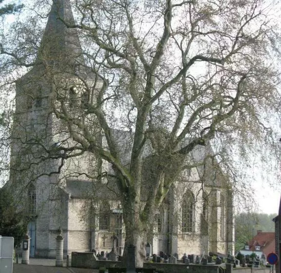 Aamiaismajoitus (B&B) Huis Van Rooi