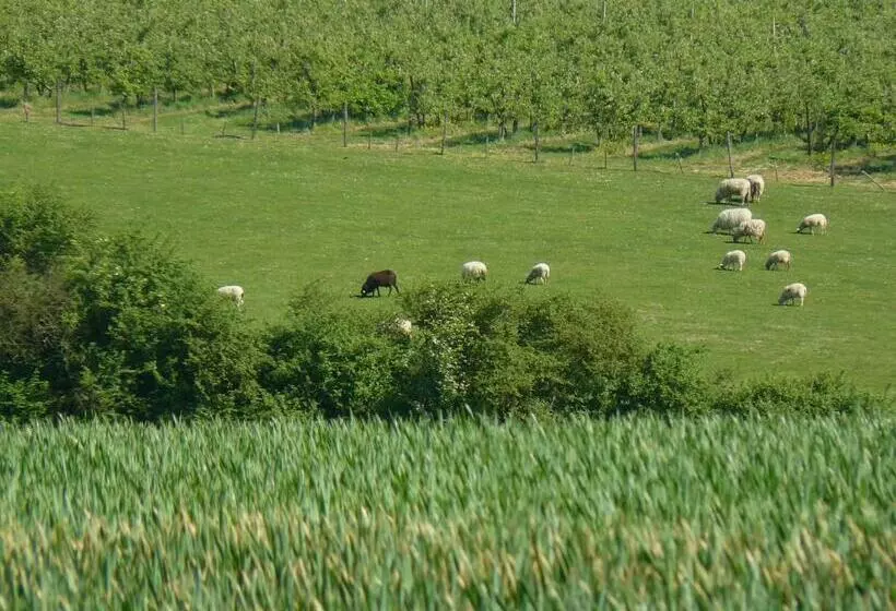 Aamiaismajoitus (B&B) Huis Van Rooi