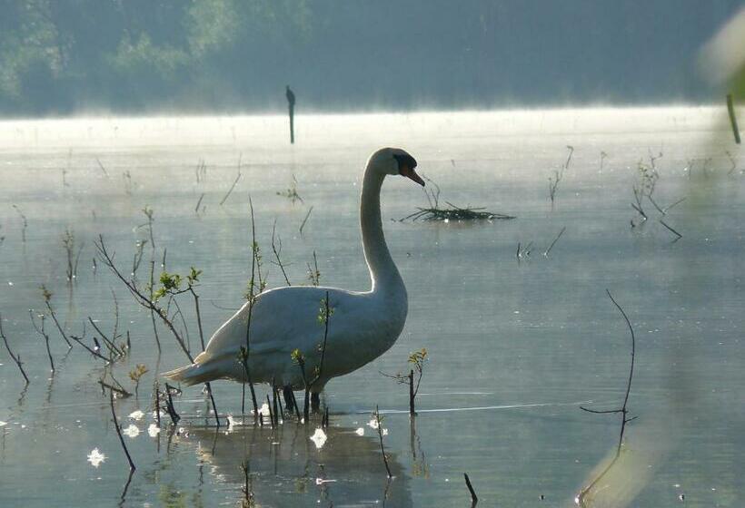 住宿加早餐 Huis Van Rooi