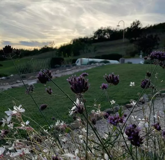 ベッドアンドブレックファースト Mas Tulipe De Soie