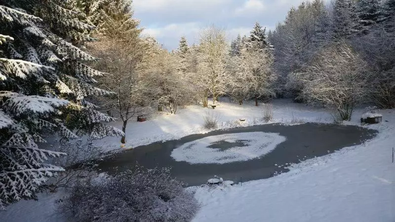 ベッドアンドブレックファースト Zimmer Mit Teichblick