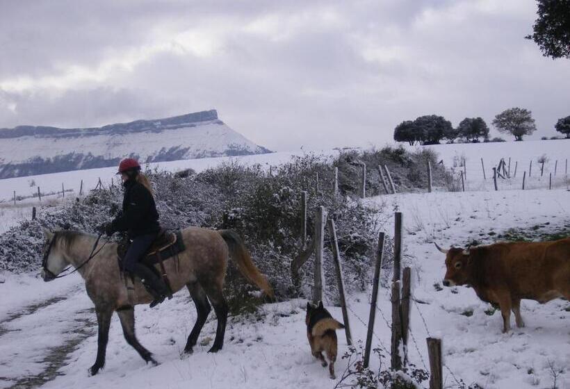 酒店 Casa Rural El Ribero I