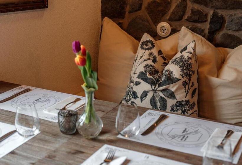 Отель Hazai Provence