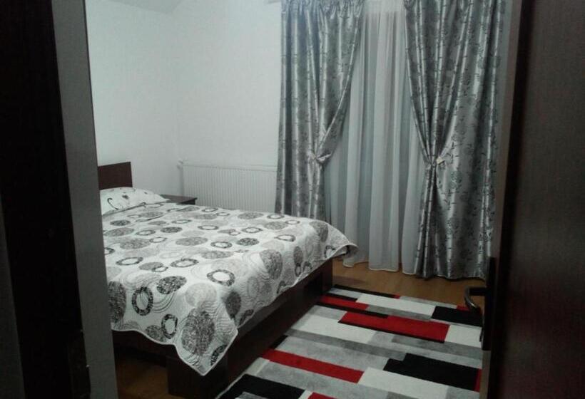 Отель Pensiunea Lucian