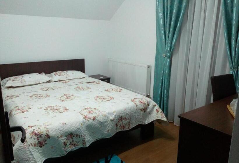 Отель Pensiunea Lucian