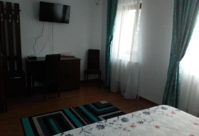 Отель Pensiunea Lucian