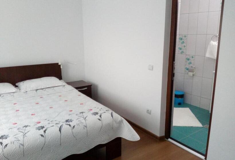 Отель Pensiunea Lucian