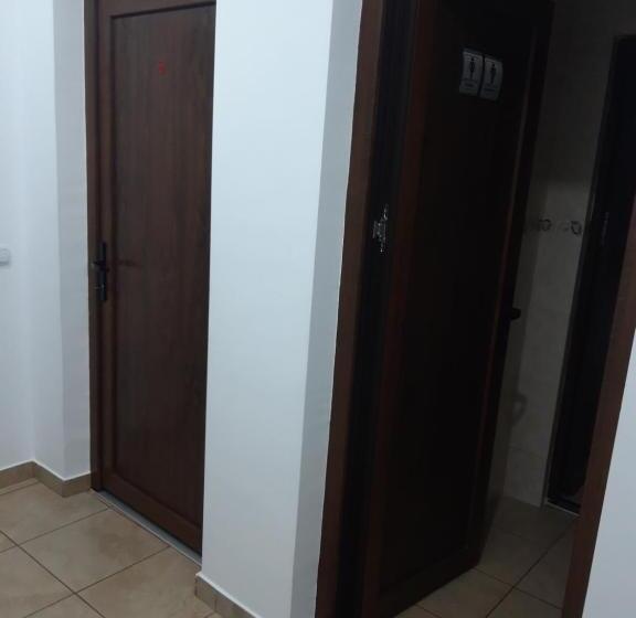 Отель Pensiunea Lucian