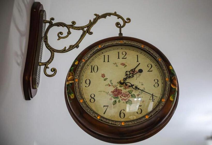 Отель Pensiunea Lucian