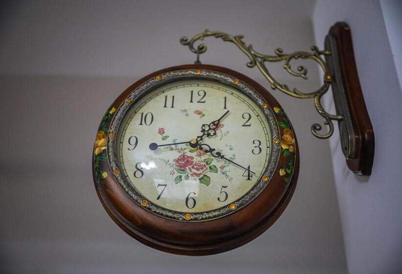 Отель Pensiunea Lucian