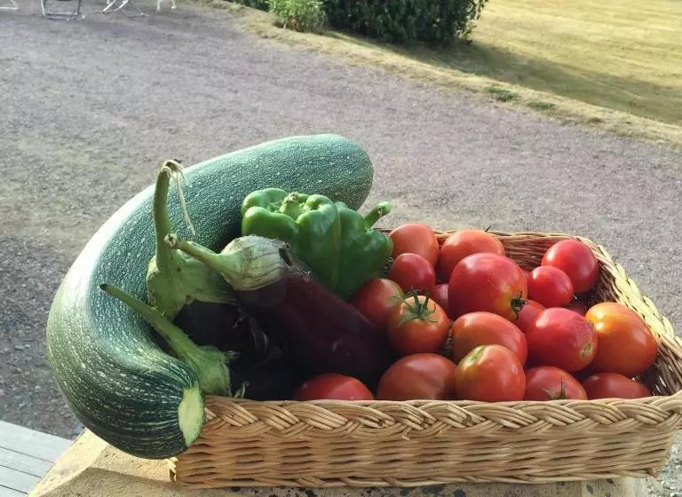 Le Manoir De Bénédicte B&b