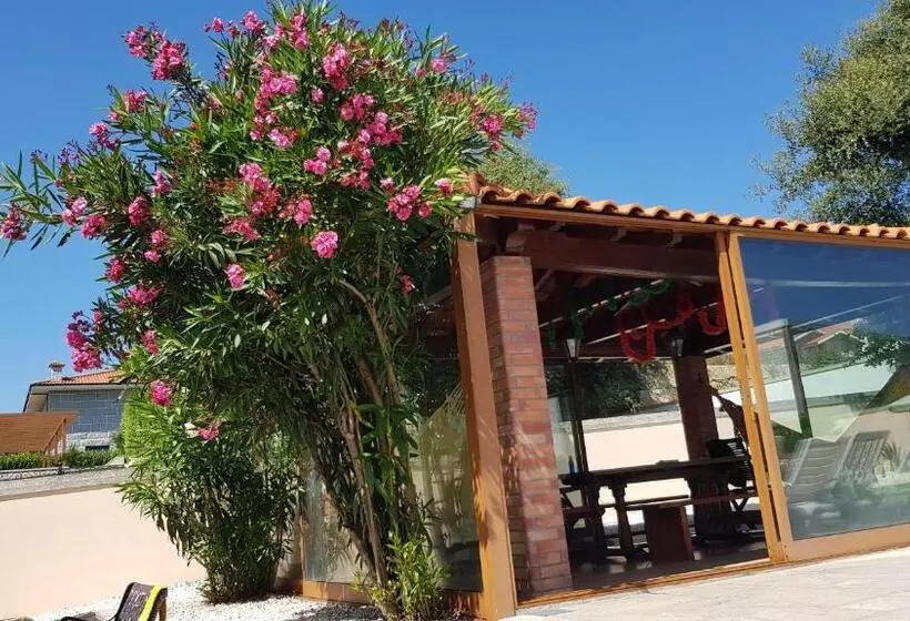 ペンション Afonso S House Alpendurada