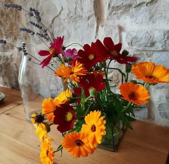 Majatalo Chambre D Hote 1873