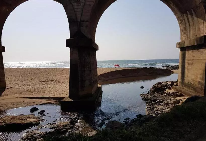 Majatalo Dollies Place